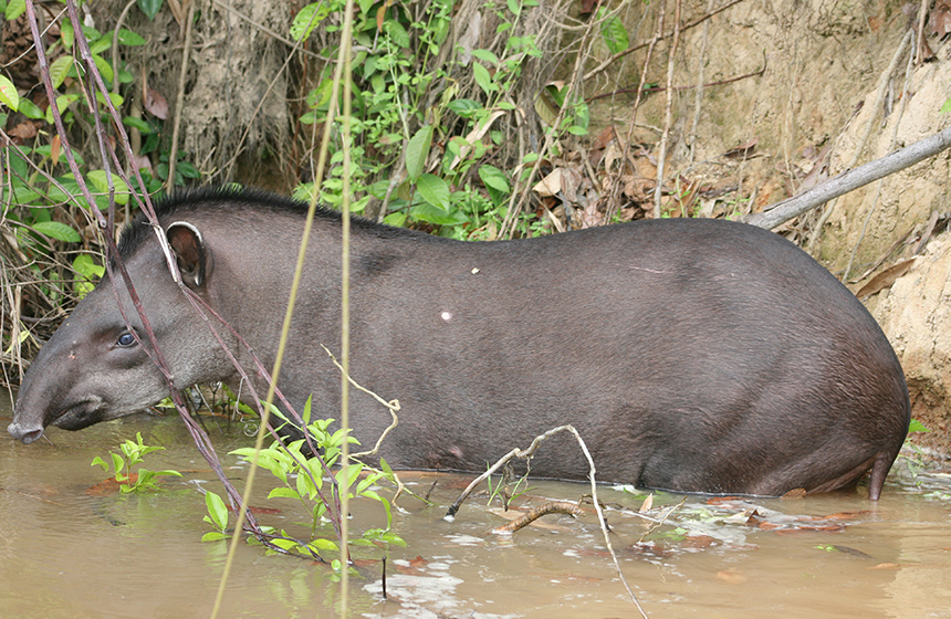 Guyana_NaturabenteurtGuyana_verschiedeneTerminen